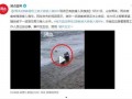 海洋最新爆料消息视频,揭秘神秘深海生物与未知现象