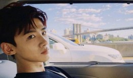 娱乐吃瓜猫白敬亭,娱乐吃瓜猫的甜蜜蜕变