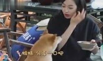 台湾娱乐八卦爆料事件视频,某明星隐私视频事件幕后真相曝光