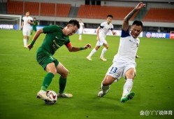 国足中场爆料最新消息,最新爆料揭示球队内部动态