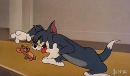 范哥爆料老鼠视频播放,惊悚老鼠视频引发网友热议