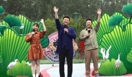 海南七星爆料事件视频最新,真相揭秘，疑云重重
