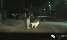 白昼之雨在线观看,探寻神秘雨夜中的奇幻之旅