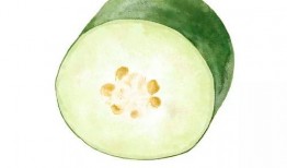 吃瓜娱乐营养,营养生活新风尚