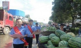 叶县网红吃瓜事件,揭秘网络舆论背后的真相与反思
