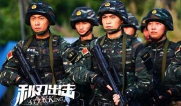 猎豹突击队电视剧全集在线观看,热血军旅，英勇无畏的传奇故事