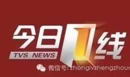 怎样去今日一线爆料,如何有效进行爆料与监督