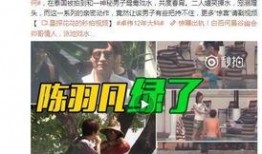 前安村事件事实爆料视频,揭秘真相，还原现场