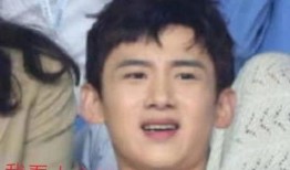 娱乐吃瓜猫白敬亭,娱乐吃瓜猫的甜蜜蜕变