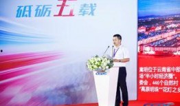 泽西最新爆料新闻报道,揭秘事件背后惊人真相