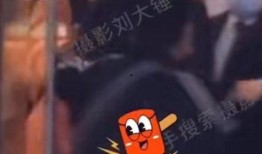 刘大锤最新爆料音乐圈,音乐圈幕后风云再起