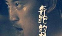 奔梦电影在线观看,畅享视听盛宴，开启梦幻之旅