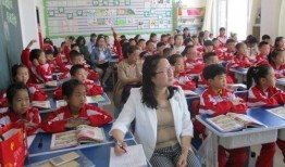 天津中小学爆料新闻事件,揭秘校园安全与教育问题背后的真相