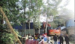 南宁违建新闻爆料群,多起违建事件曝光，城市治理再引关注