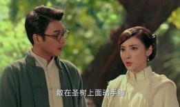 老九门31集在线观看,揭秘神秘古墓，探寻家族秘辛