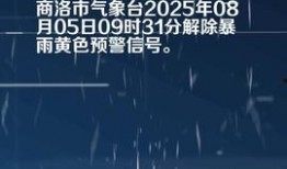 商洛今日头条最火爆料,最新事件引发全民热议！