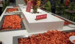 养殖对虾爆料视频播放,视频播放背后的养殖秘密大曝光