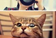 爆料一点的视频怎么做的,轻松掌握短视频创作秘诀