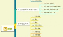 明星黑图爆料视频大全集,明星黑图爆料视频大全集深度解析
