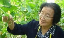 福建兄妹吃瓜网红是谁,揭秘网络红人的瓜田传奇