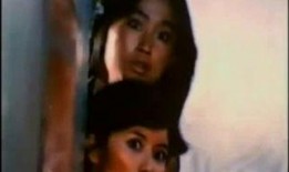 女杰在线观看,揭秘女性英雄的传奇人生