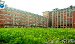 云南财大新生爆料视频,揭秘校园生活与学习环境