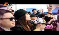 猪皮明星爆料视频大全集,揭秘娱乐圈幕后真相