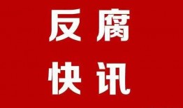2020新疆最新爆料,揭秘神秘事件背后的真相