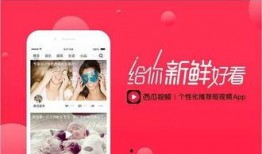 西瓜视频小鲜肉爆料,西瓜视频幕后故事大揭秘