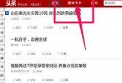 今日头条爆料审核,揭秘内容审核背后的秘密