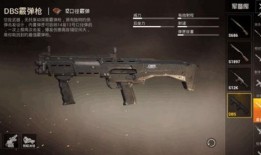 和平精英最新爆料枪,神秘性能引发热议，枪王争霸战即将升级