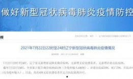 沈阳的今天新闻最新爆料,神秘事件引发社会关注