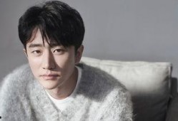 李欧爆料视频大全最新版,揭秘娱乐圈最新动态