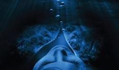 美艳僵尸手机在线观看,惊悚悬疑，探秘未知世界