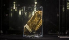 善玺沉香馆爆料视频,独家爆料视频带你领略沉香魅力