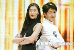 刘雯娱乐爆料视频播放,揭秘娱乐圈幕后故事