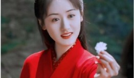 成都娱乐八卦爆料袁冰妍,揭秘明星幕后故事
