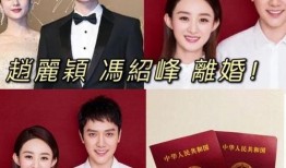 男网红爆料冯绍峰视频播放,播放量惊人引发热议