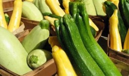 吃瓜娱乐营养,营养生活新风尚