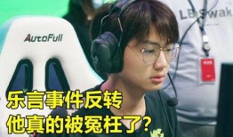 潘大神前妻爆料视频,揭秘婚姻内幕与情感纠葛