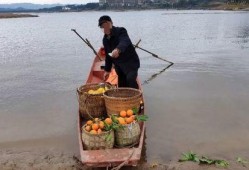 网友爆料渔船视频播放,惊险一幕！渔船海上遭遇突发状况