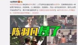 阿疯直播爆料事件视频播放,视频播放背后的真相揭秘