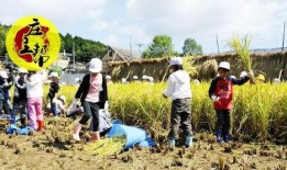 黑龙江农场爆料案件最新,揭开背后惊人真相