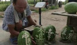 网红王大炮吃瓜图片大全,趣味图片大盘点