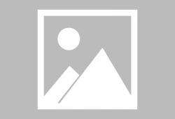 娱乐圈同人爆料小说免费阅读