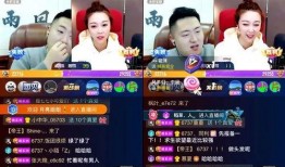 熊猫yy事件爆料视频,揭秘网络直播圈的惊人内幕