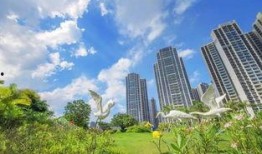 碧桂园最新爆料,揭秘千亿房企的转型之路与未来布局”