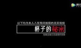 神秘的爆料视频,神秘事件背后的惊人真相