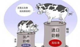 奶粉最新爆料,揭秘行业潜规则与消费者权益保护
