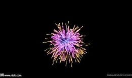 烟花爆料视频大全,揭秘烟花爆料视频大全精彩瞬间